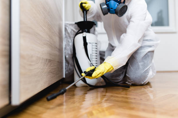  Thermopolis, WY Pest Control Pros