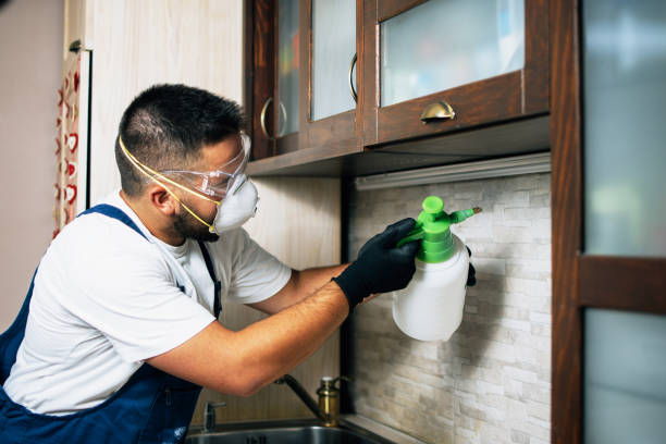 Best Emergency Pest Control  in Thermopolis, WY