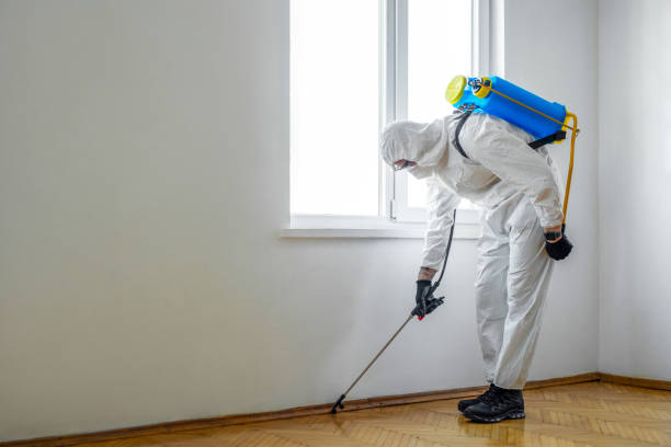 Best Pest Inspection Near Me  in Thermopolis, WY
