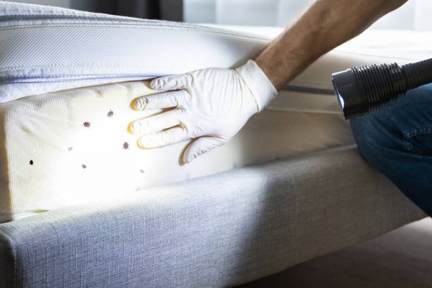 Best Best Pest Control Companies  in Thermopolis, WY