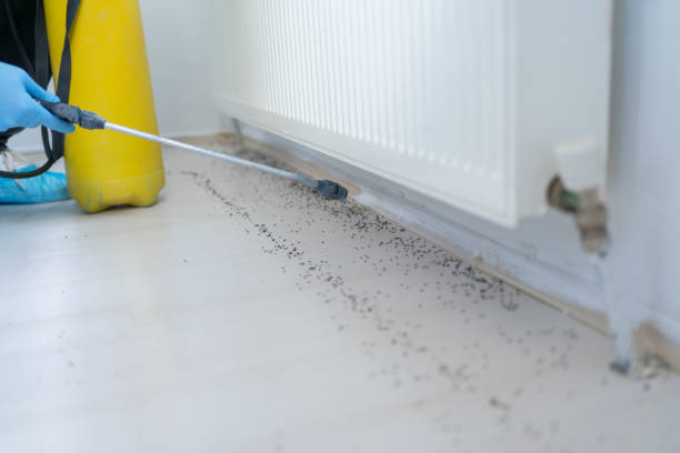 Best Residential Pest Control  in Thermopolis, WY
