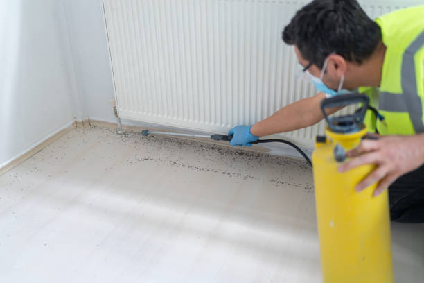 Best Exterminator Services  in Thermopolis, WY