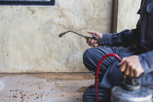 Best Mosquito Control Services  in Thermopolis, WY